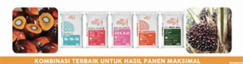 pupuk npk